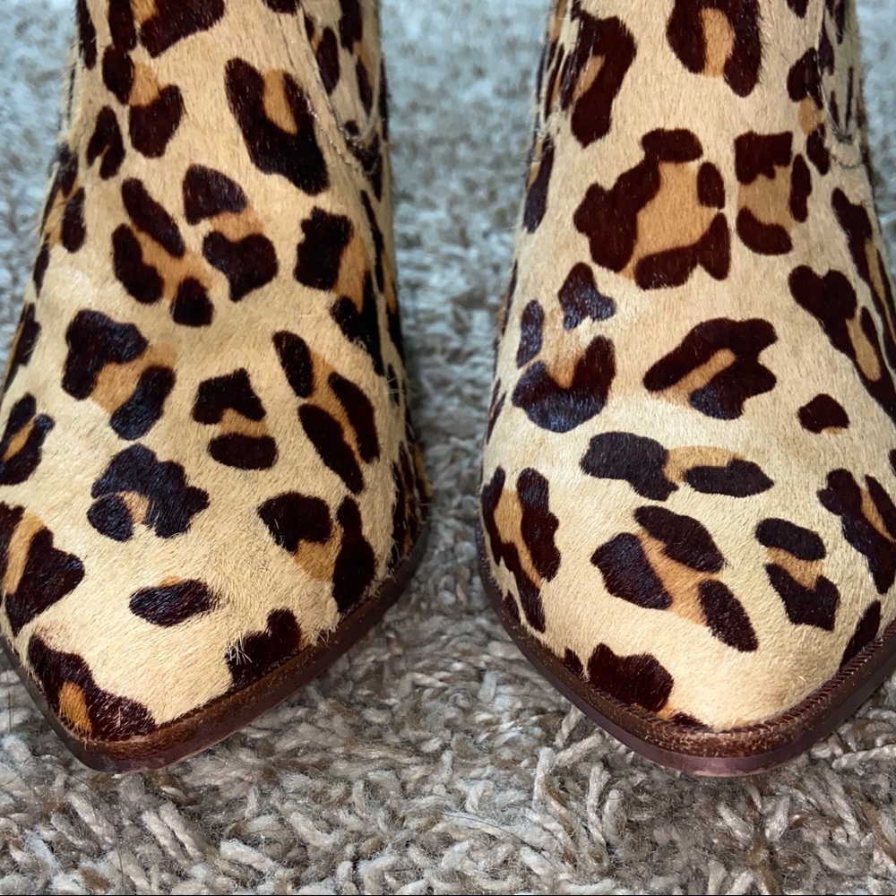 Steve Madden Ladd Cow Hair Cheetah Print Booties - Picture 5 of 16